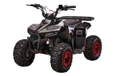 Квадроцикл детский YACOTA (Якота) RAPOSA 110 чёрный (машинокомплект)