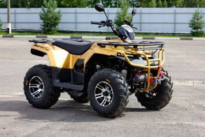 Квадроцикл IRBIS (Ирбис) ATV 250 Premium 2024 жёлтый с ПСМ