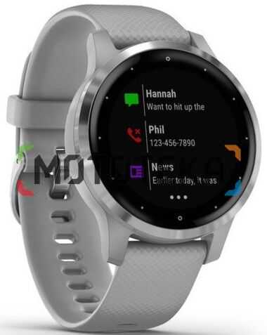 Смарт часы Garmin (Гармин) Vivoactive 4S серебристо-серые (010-02172-04)